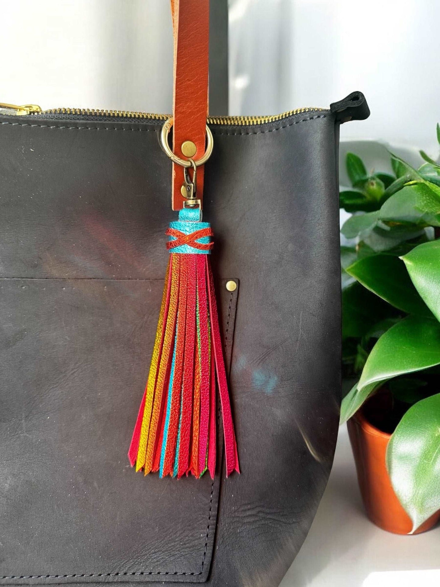 image of a purse with multi colored tassel