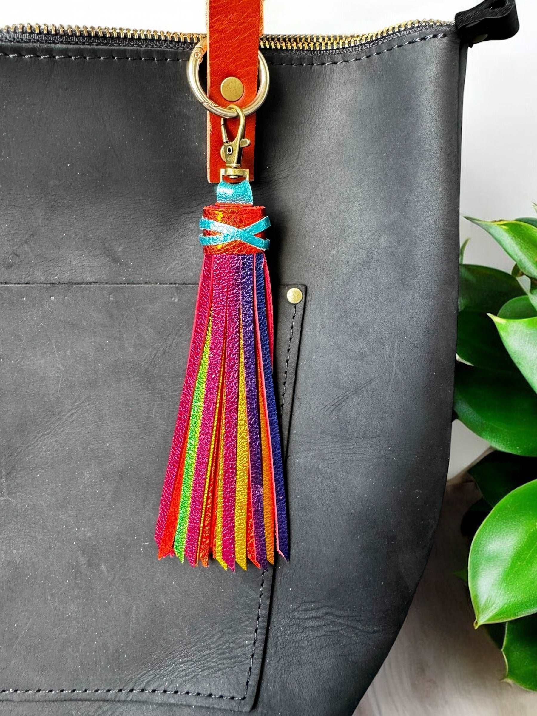 image of a purse with multi colored tassel