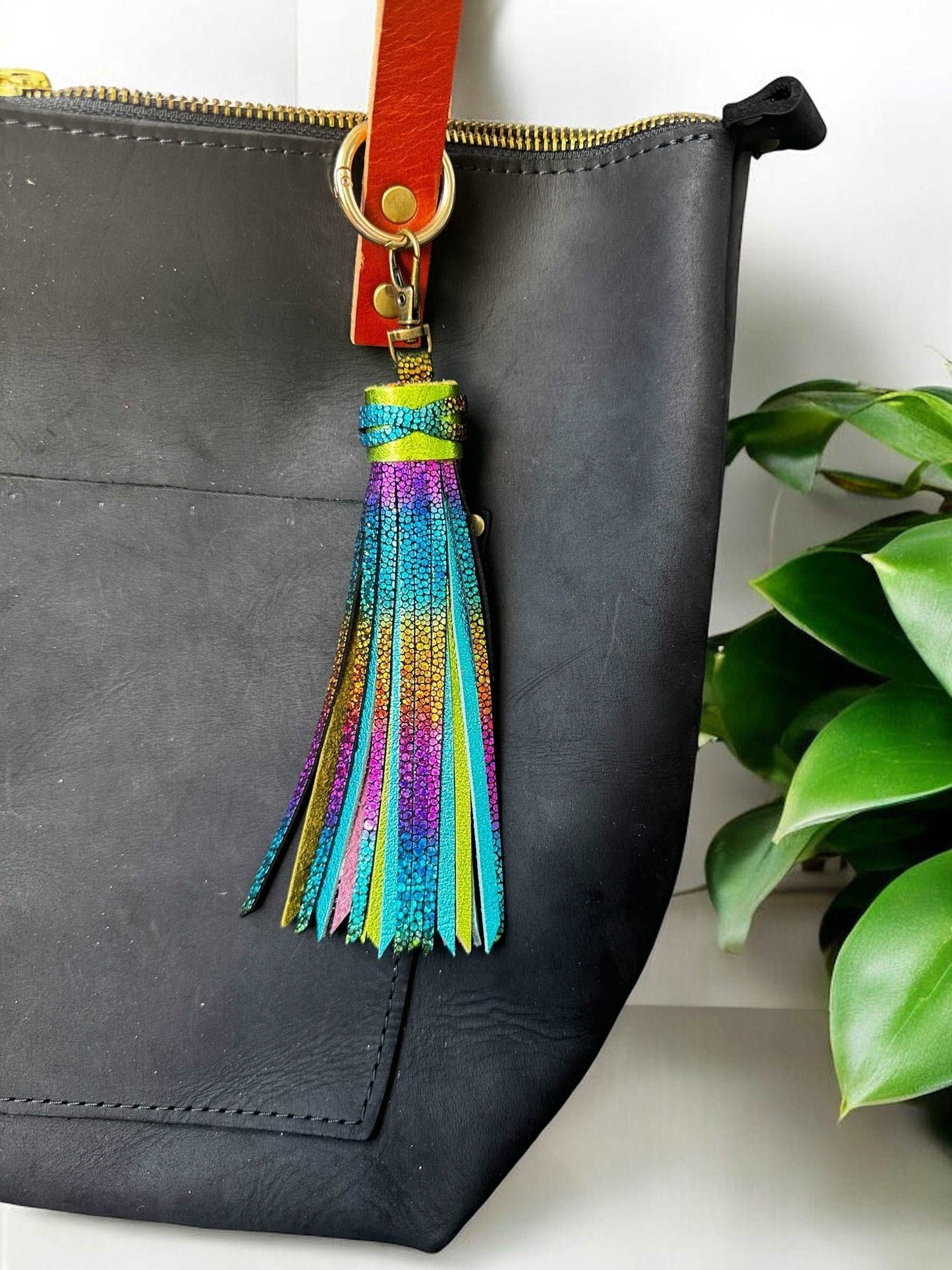 image of a purse with multi colored tassel