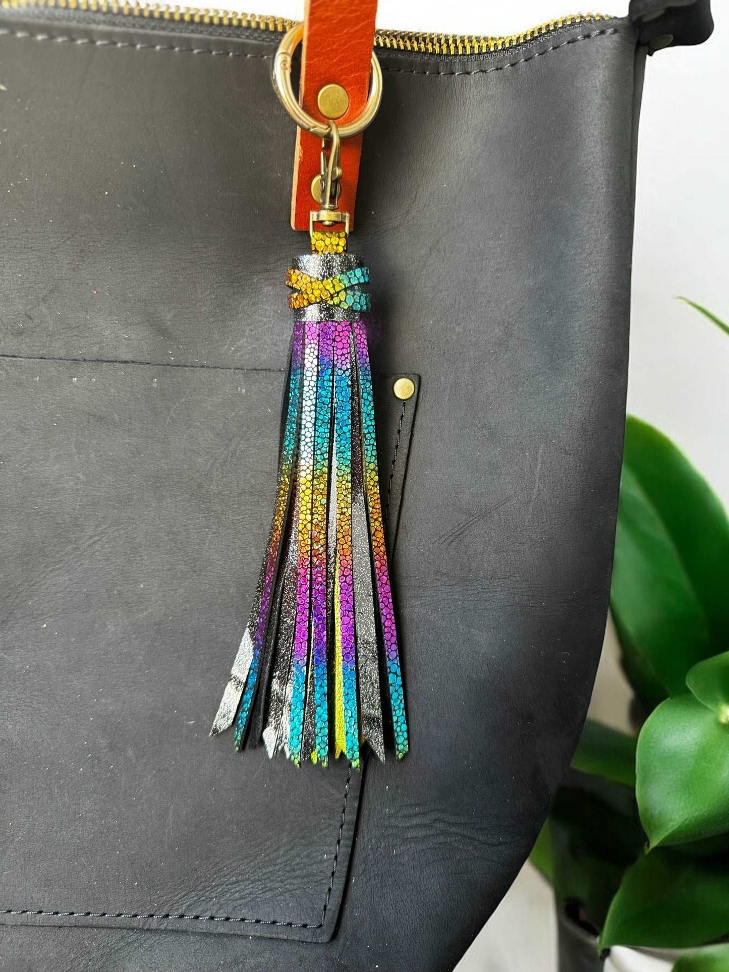 image of a purse with multi colored tassel